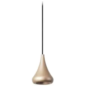 Image of Cherry pendant, PPMA, painted gold
