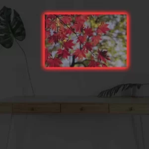 Image of 4570DHDACT-064 Multicolor Decorative LED Lighted Canvas Painting