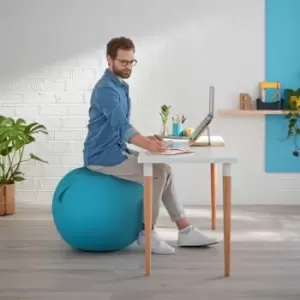 Image of Ergo Sitting Ball Cosy Calm Blue