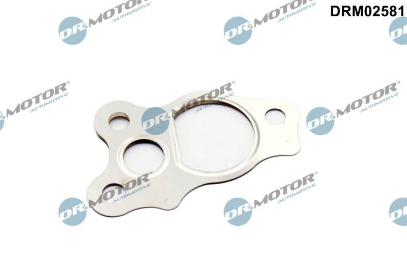 Image of DR.MOTOR AUTOMOTIVE EGR valve gasket DR.MOTOR AUTOMOTIVE DRM02581