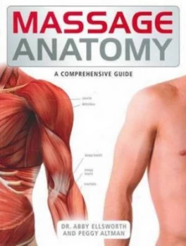 Image of Massage Anatomy Paperback