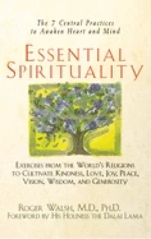 Image of essential spirituality the 7 central practices to awaken heart and mind