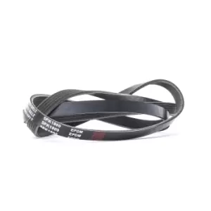 Image of RIDEX V-ribbed belt HYUNDAI,KIA 305P0366 252122A120,252122A121,252122A120 252122A121