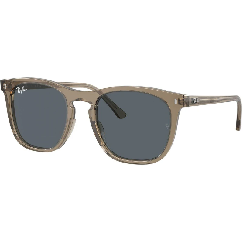 Image of Ray-Ban Mens Rayban Square Sunglasses Brown male One Size
