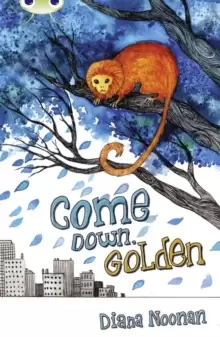 Image of Bug Club Independent Fiction Year 3 Brown A Come Down, Golden