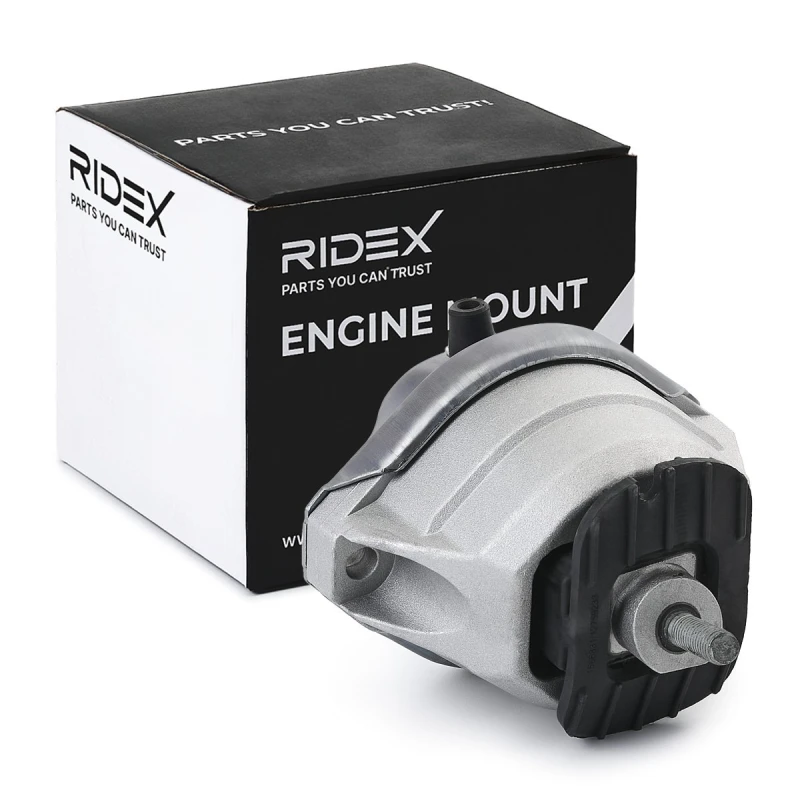 Image of Engine mount RIDEX 247E0224