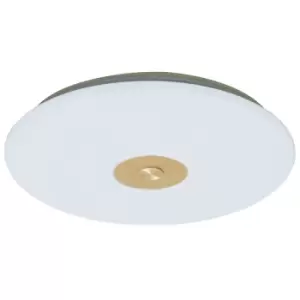 image of Pro Dimmable LED Flush Light 50W