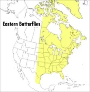 Image of peterson field guide to eastern butterflies