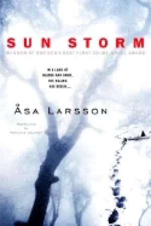 Image of sun storm