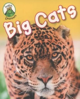 Image of Big Cats by Annabelle Lynch Paperback