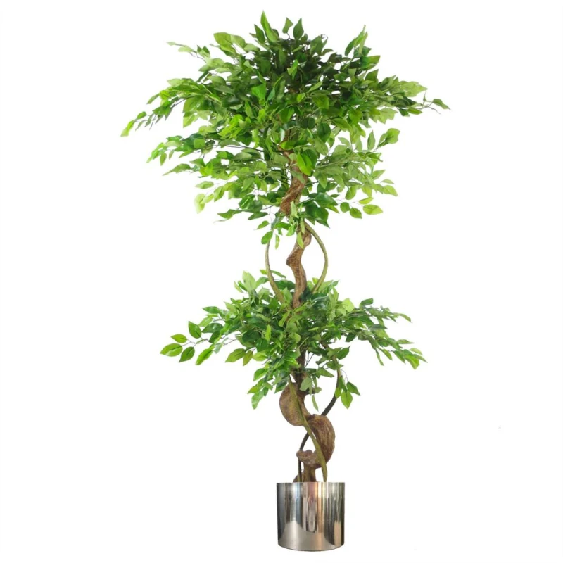 Image of Leaf Japanese Fruticosa Ficus Tree Silver Planter 150cm Twisted Trunk Artificial Botanik Green