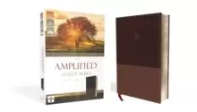 Image of The Amplified Study Bible, Leathersoft, Brown