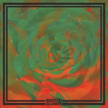 Image of Night Beats Sonic Bloom Vinyl