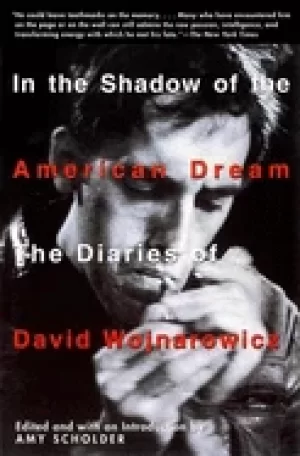 Image of in the shadow of the american dream the diaries of david wojnarowicz