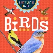 Image of nature baby birds