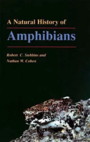 Image of A natural history of amphibians by Robert C Stebbins