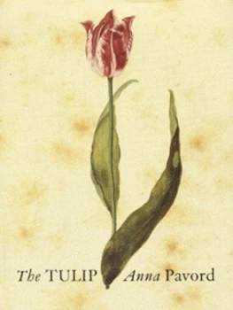 Image of The Tulip by Anna Pavord Hardback