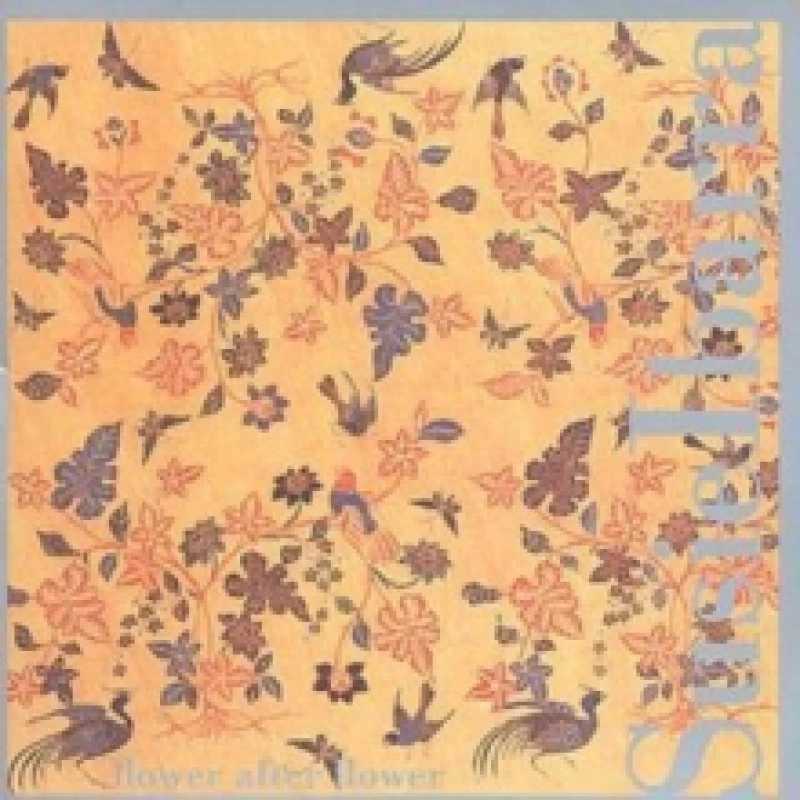 Image of Flower After Flower CD / Album