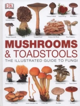 Image of Mushroom and Toadstools by Thomas Laesse Hardback