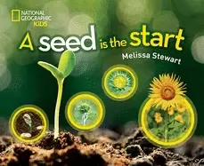 Image of seed is the start