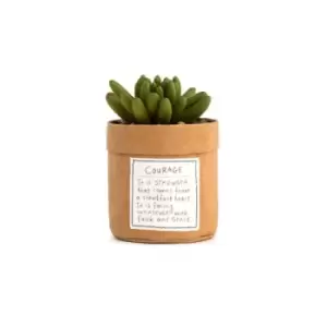 Image of Plant Kindness - Courage