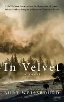 Image of In Velvet by Burt Weissbourd