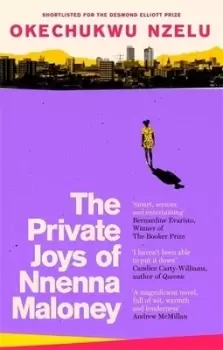 Image of The private joys of Nnenna Maloney by Okechukwu Nzelu