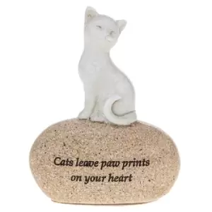 Image of Angel Stones Cat