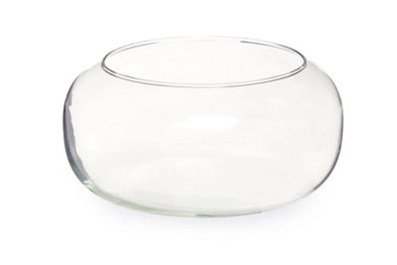 Image of Premier Housewares Ambra Clear Glass Bouquet Globe Clear