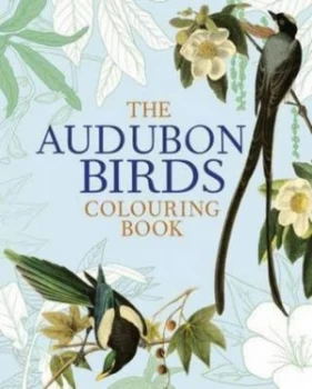 Image of Audubon Birds Colouring Book by John James Audubon Book