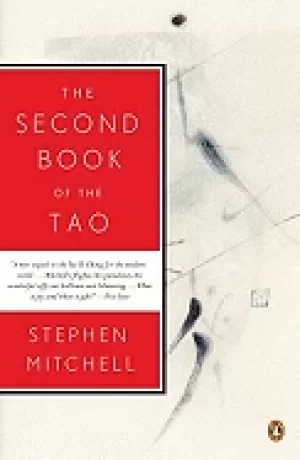 Image of second book of the tao compiled and adapted from the chuang tzu and the chu