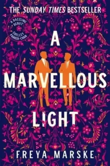 Image of A Marvellous Light : a dazzling, queer romantic fantasy