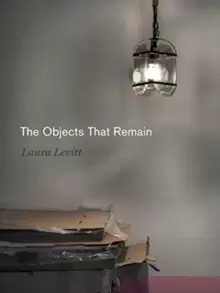 Image of The Objects That Remain
