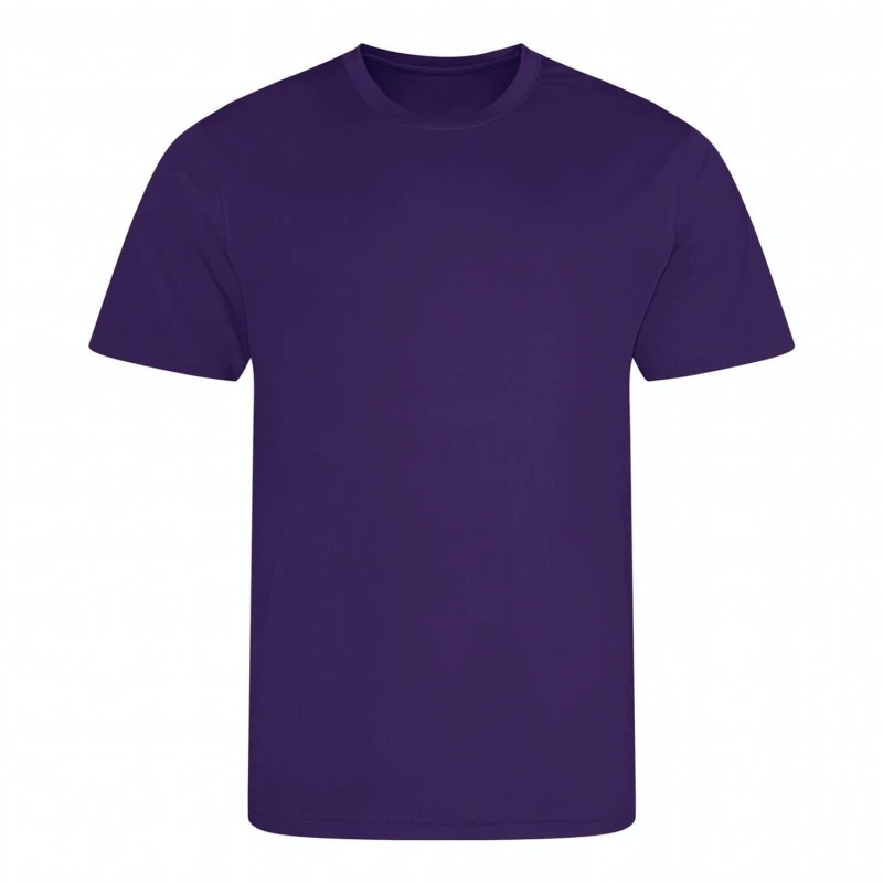 Image of AWDis Cool Mens Plain Blue T-Shirt in Purple Size: Small Purple Male S