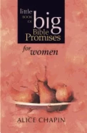 Image of little book of big bible promises for women