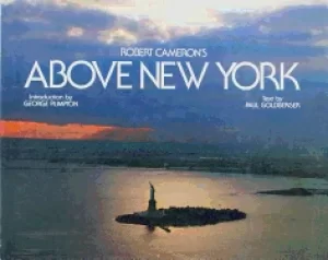 Image of above new york
