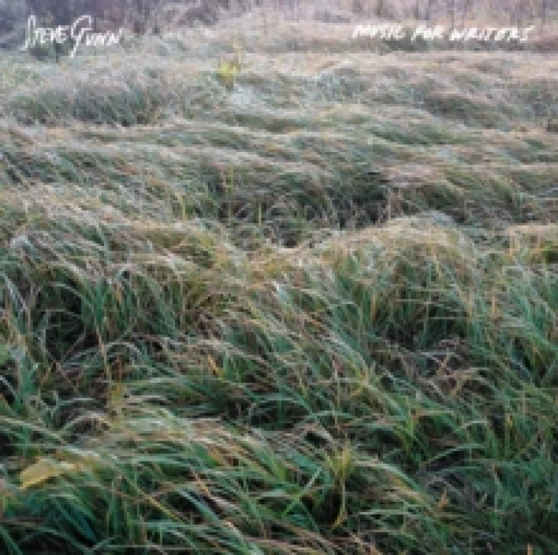 Image of Steve Gunn Music for Writers (Vinyl) 12 Album Coloured Vinyl (Limited Edition)