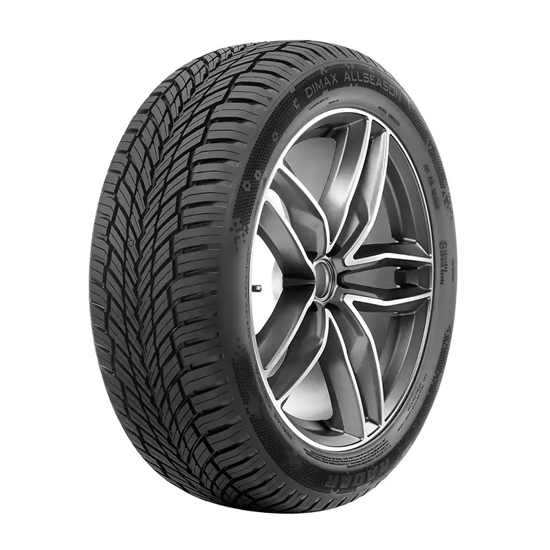 Image of Radar Radar Dimax All Season 205/55 R16 91V Tyres