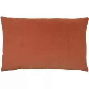 Image of Contra Velvet Cushion Brick, Brick / 40 x 60cm / Cover Only