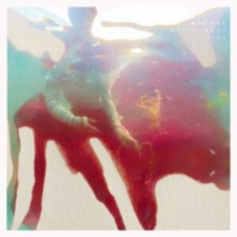 Image of Attachment Styles Vinyl