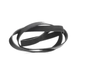 Image of RIDEX V-ribbed belt BMW,NISSAN,MAZDA 305P0307 11281736986,11281742012,ERR3287 KJ0118381A