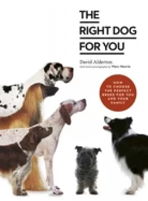 Image of right dog for you how to choose the perfect breed for you and your family