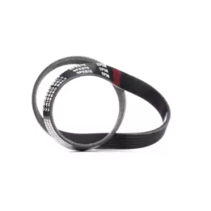 Image of RIDEX V-ribbed belt 305P0204 Serpentine belt,Auxiliary belt OPEL,RENAULT,FIAT,Movano Kastenwagen (X70),Movano Bus (X70)