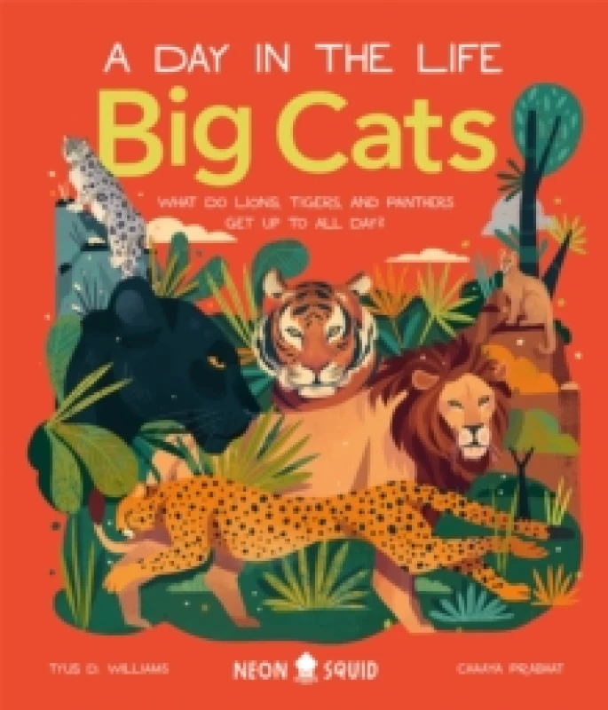 Image of Neon Squid Big Cats (A Day in the Life) Book Multi