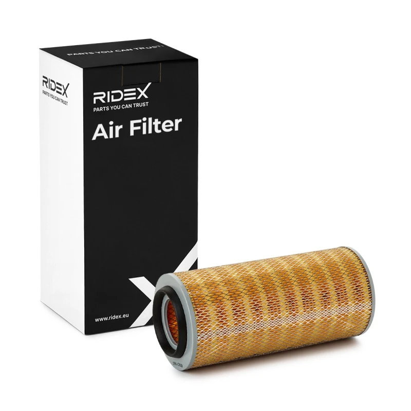 Image of Air filter RIDEX 8A0738