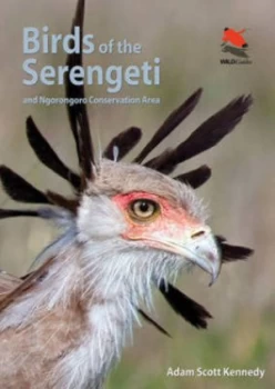 Image of Birds of the Serengeti by Adam Scott Kennedy Paperback
