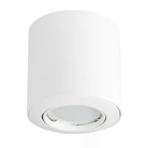 Image of 4 x Surface Non-Fire Rated Mounted Tiltable Downlights in White