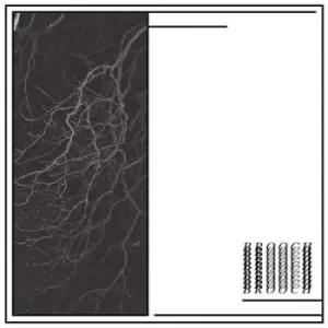 Image of Blood Spitting/Broken Glass by Brooch Vinyl Album