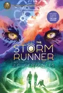 Image of storm runner