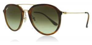 image of Ray-Ban RB4253 Sunglasses Stripped Havana 820/A6 53mm